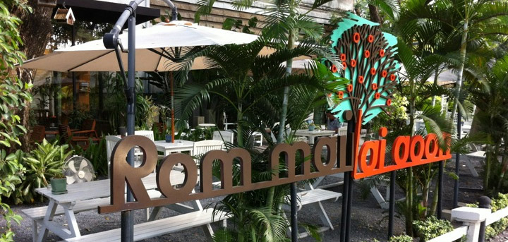 น้องหมาพักได้ แนะนำ ร่มไม้ไออุ่น ร้านกาแฟพาน้องหมามาได้