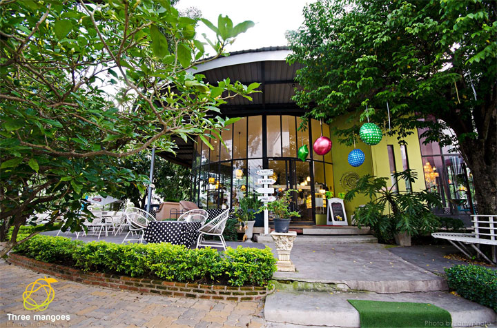 ร้านทรี แมงโก้ ถนนประชาชื่น ริมคลองประปา น้องหมาเข้าได้