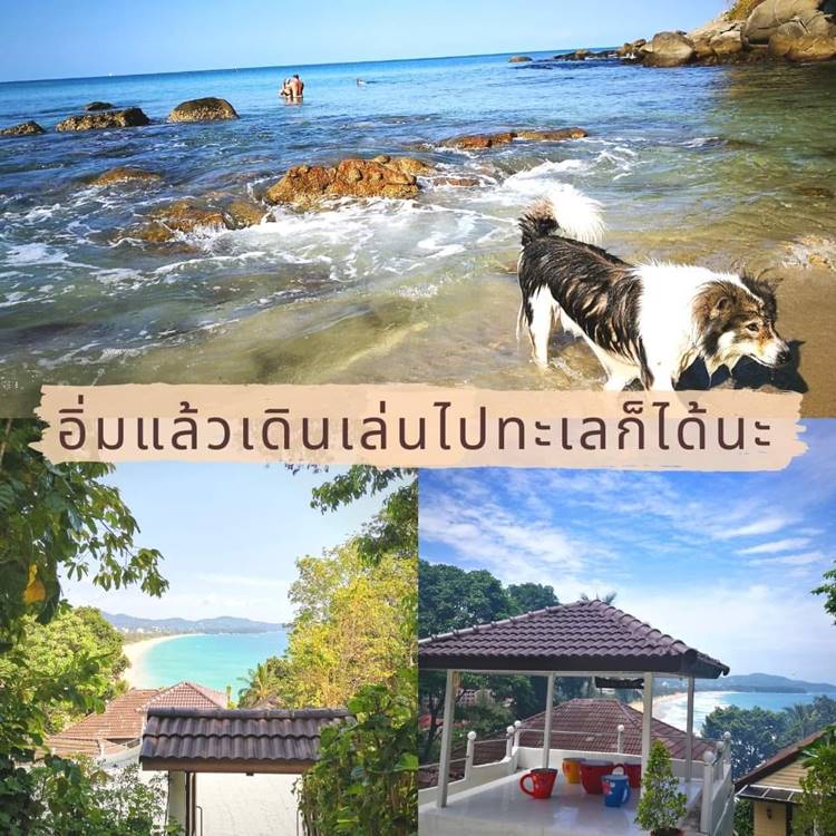 ร้านอาหารหาดกะรนหมาใหญ่เข้าได้