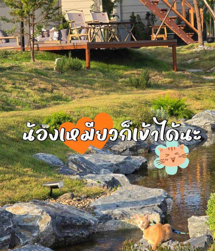 ร้านอาหารน้องหมาเข้าห้องแอร์ได้ชะอำ