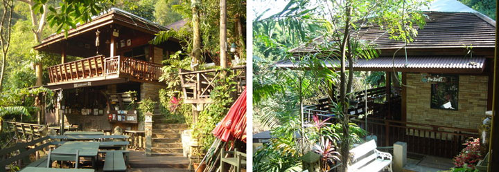 ร้าน บ้านไม้ชายน้ำ ปากช่อง น้องหมาเข้าได้