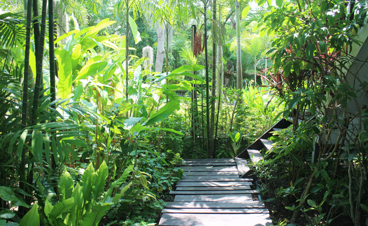 รีวิวทามาริน่ารีสอร์ท ที่พักอ่างศิลา น้องหมาพักได้